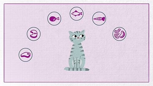 What’s in Whiskas cat food and how is it made?