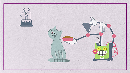 What should a senior cat eat?