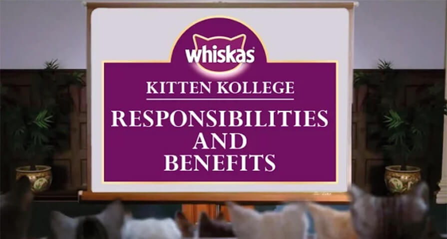 kitten benefits