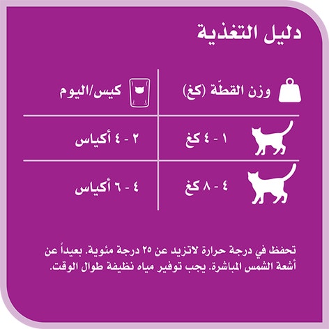 image 6294001832751-Whiskas%20Nova%20Adult%20Beef_Feeding%20Guide-ar