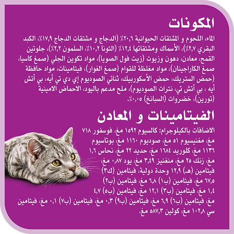 image 6294001836384-Whiskas%20TM%20Adult%20Salmon%20Spinach%20in%20Jelly_Ingredients-Vitamins%20%26%20Minerals-ar