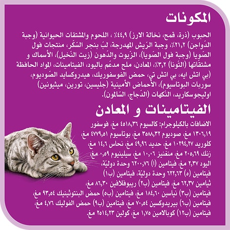 image 8853301005739-Whiskas%20Dry%20Extension%20Adult%20Skin%26Coat%201