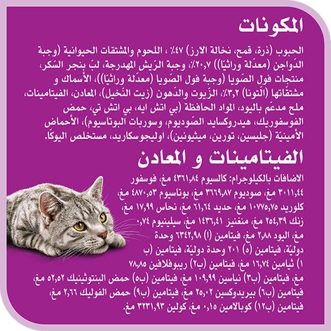 image 8853301143981-Whiskas%20Dry%20Extension%20Adult%20Indoor%20Formula%201
