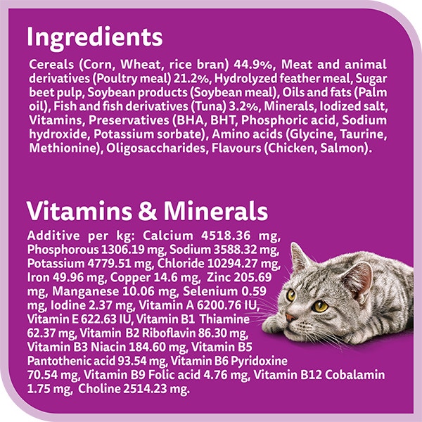 image 8853301005739-Whiskas%20Dry%20Extension%20Adult%20Skin%26Coat%201