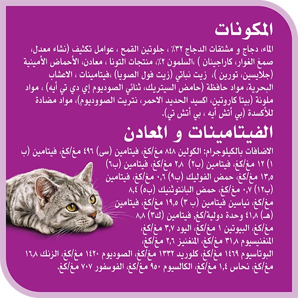 image 6294001832898-Whiskas%20TM%20Adult%20Chicken%20%26%20Salmon_Ingredients-Vitamins%20%26%20Minerals-ar