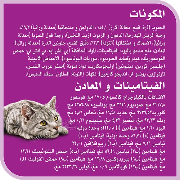 image 8853301016070-Whiskas%20Dry%20Extension%20Adult%20Tuna%26Salmon%203kg_Ingredients-Vitamins%20%26%20Minerals-ar