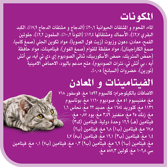 image 6294001836384-Whiskas%20TM%20Adult%20Salmon%20Spinach%20in%20Jelly_Ingredients-Vitamins%20%26%20Minerals-ar