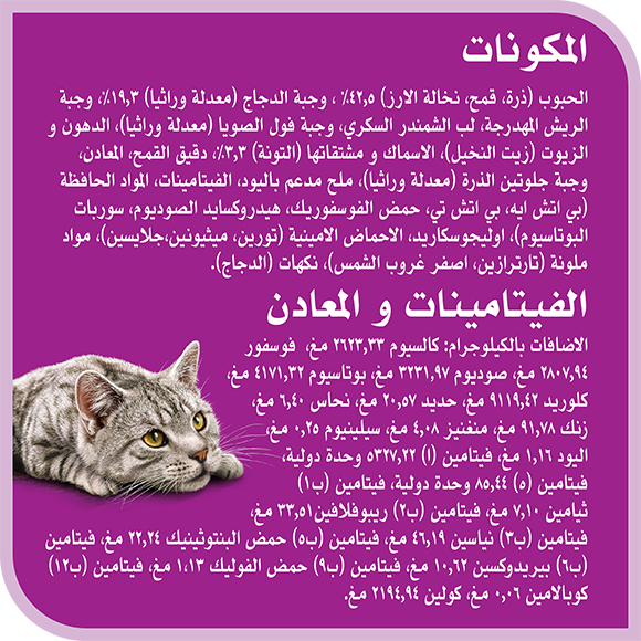 image 6914973308282-Whiskas%20Amazonia%20Adult%20Chicken%20480g_Ingredients-Vitamins%20%26%20Minerals-ar