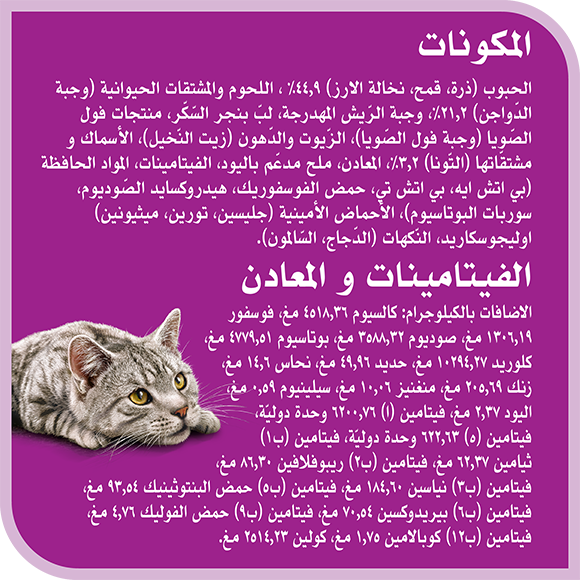 image 8853301005739-Whiskas%20Dry%20Extension%20Adult%20Skin%26Coat%201