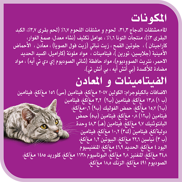 image 8853301006101-Whiskas%20Nova%20Adult%20Beef_Ingredients-Vitamins%20%26%20Minerals-ar