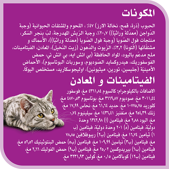 image 8853301143981-Whiskas%20Dry%20Extension%20Adult%20Indoor%20Formula%201