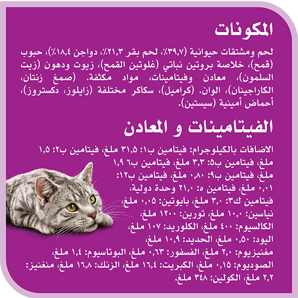 image 9310022906503-Whiskas%20CAN%20Beef_Ingredients-Vitamins%20%26%20Minerals-ar